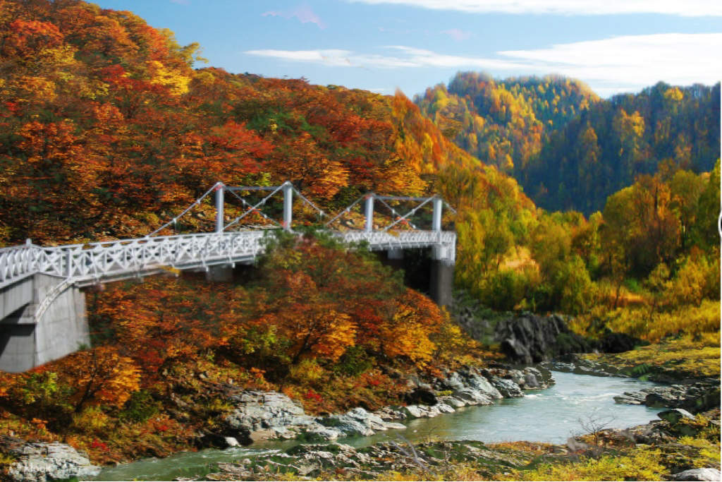 Autumn Only] Hokkaido 2-Day Tour｜10 Beautiful Scenic Spots
